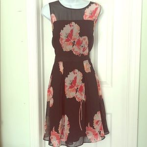 Ann Taylor Petite black dress with flowers NWT